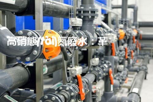 高硝態(tài)氮廢水：革新處理技術(shù)，解決環(huán)境隱患！